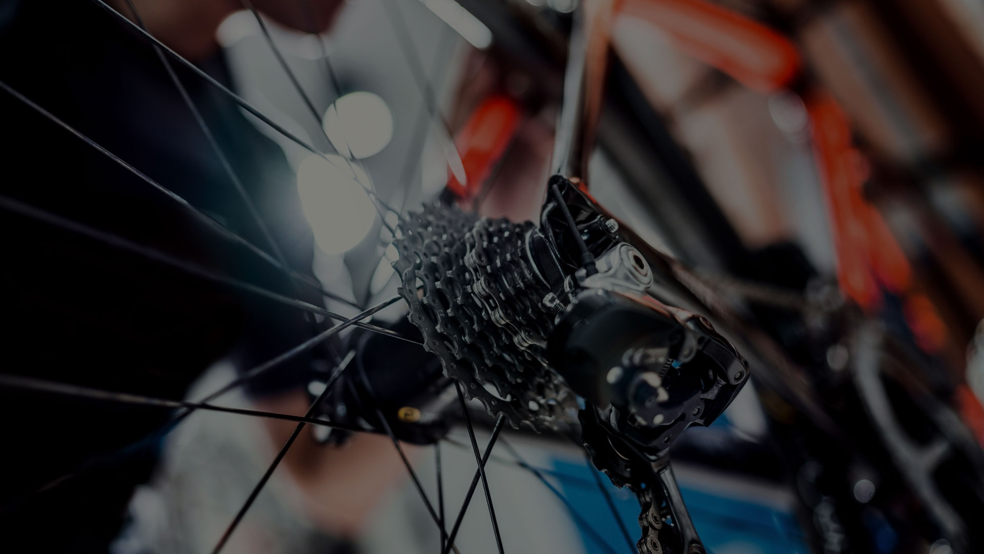 Manutenzione bici elettrica