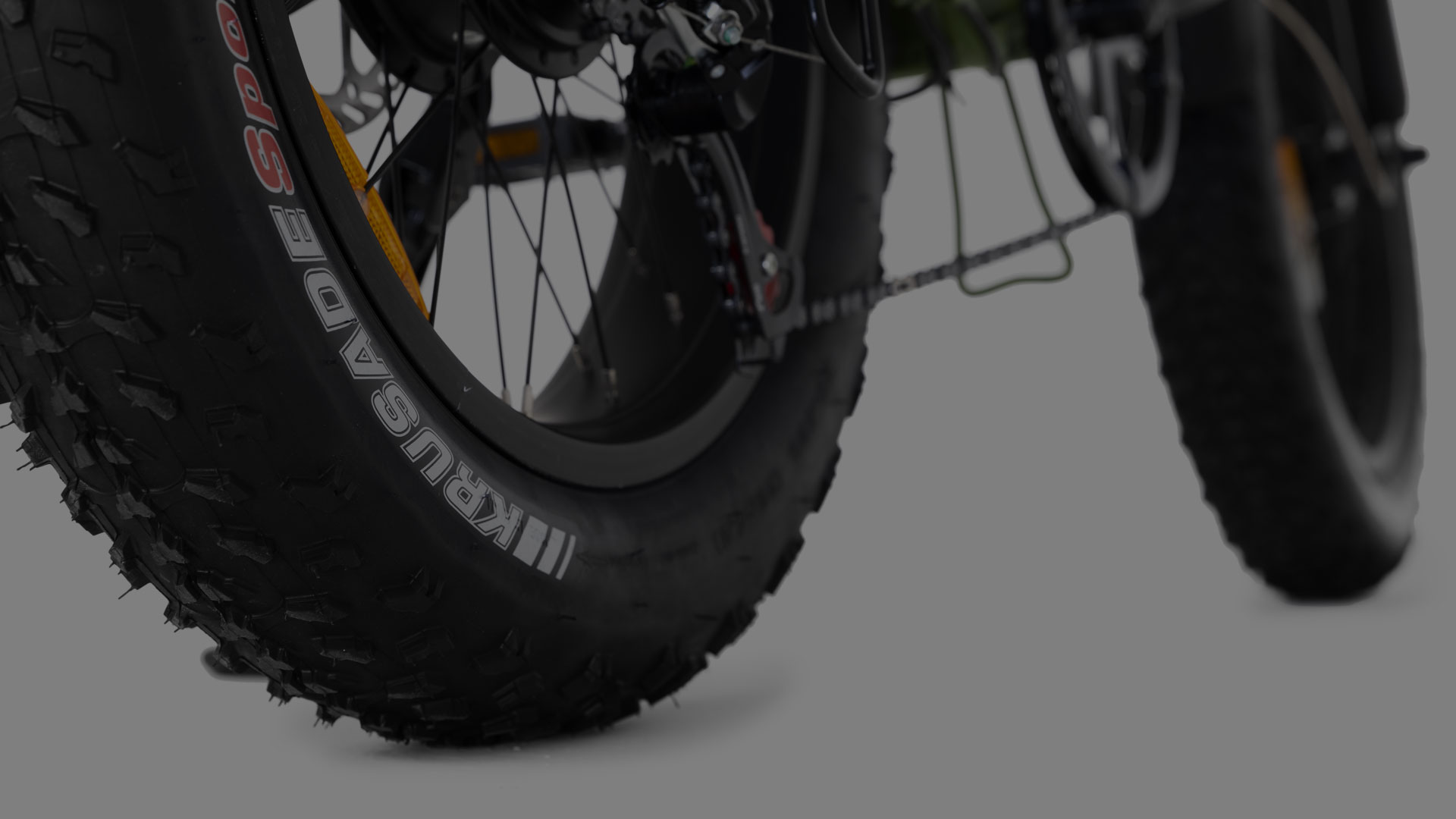 Fat Bike