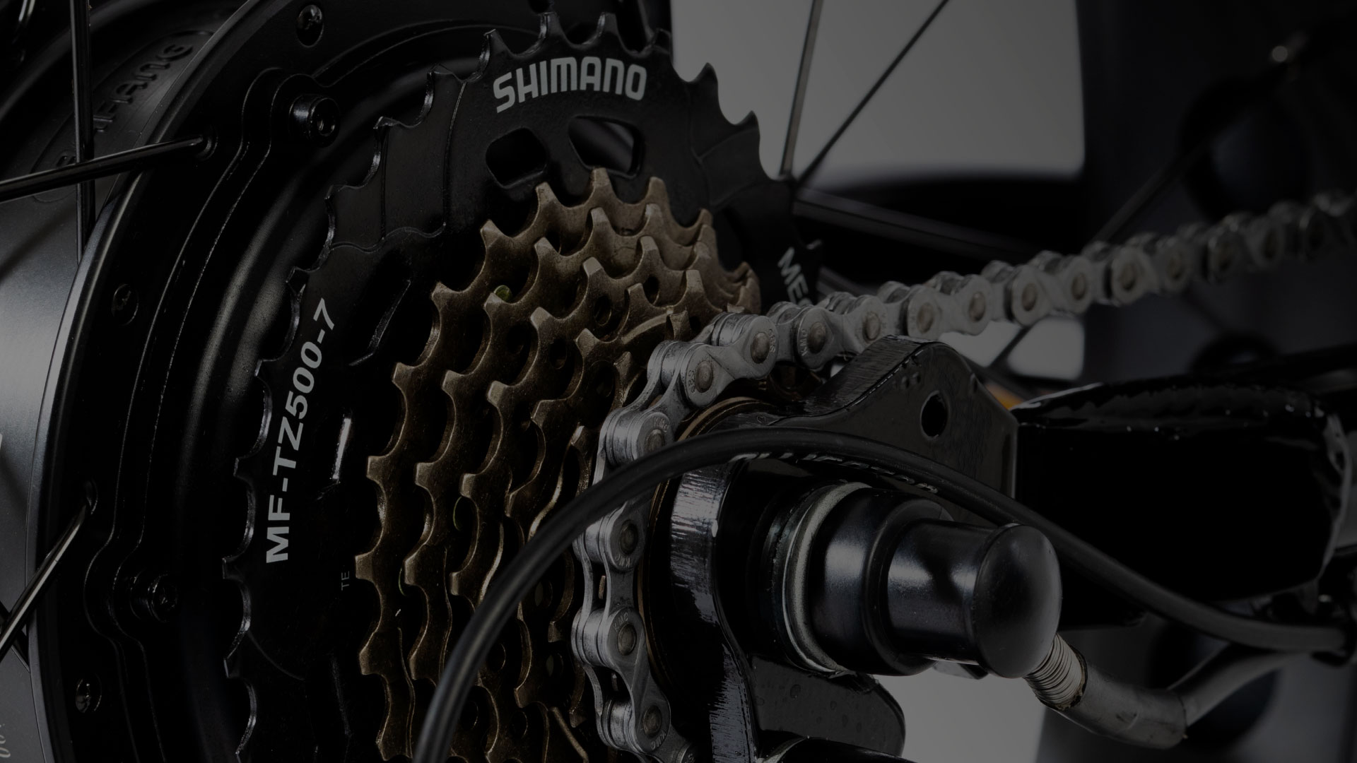 Trasmissione bici elettriche