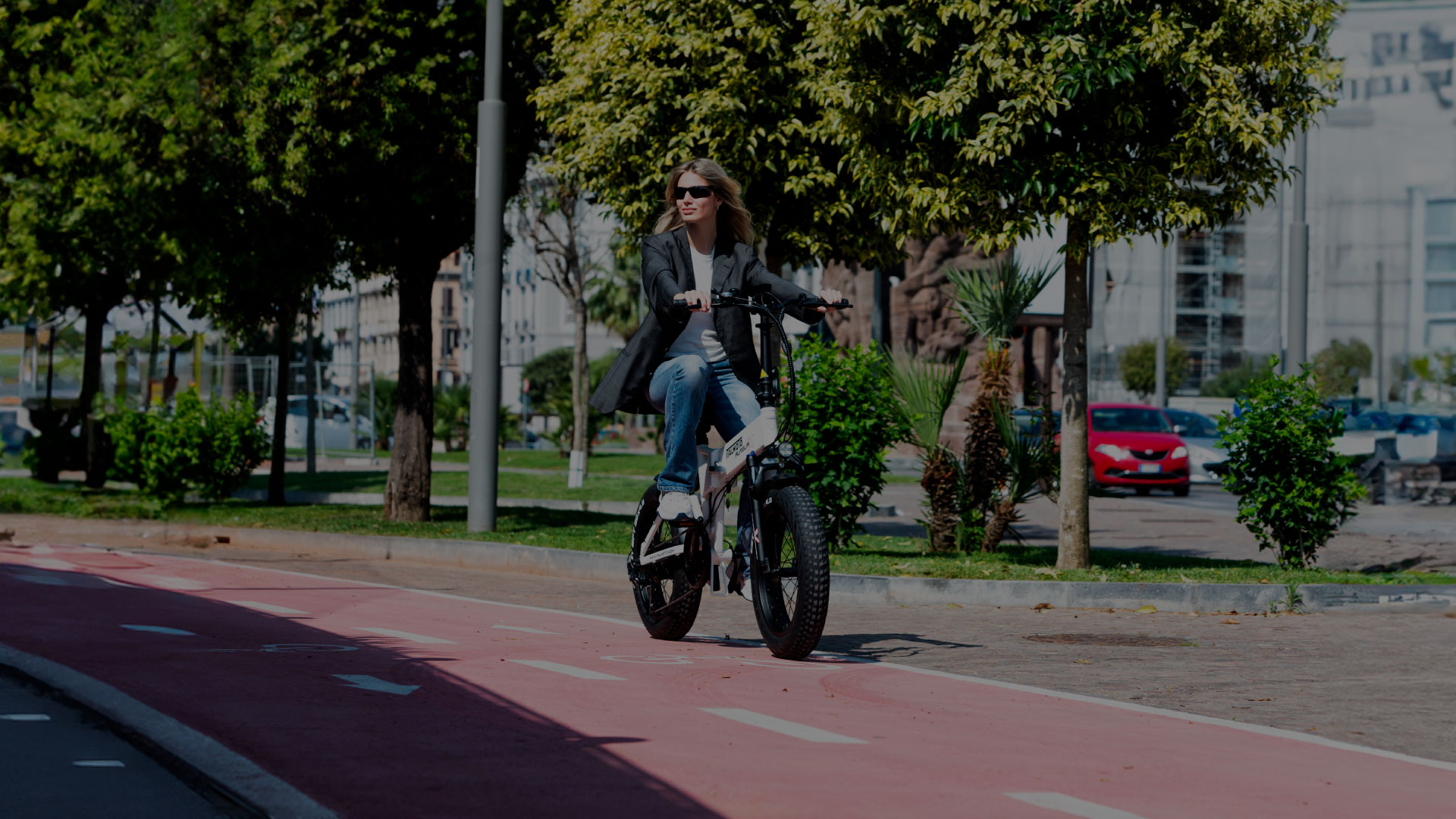 guidare bici pedalata assistita