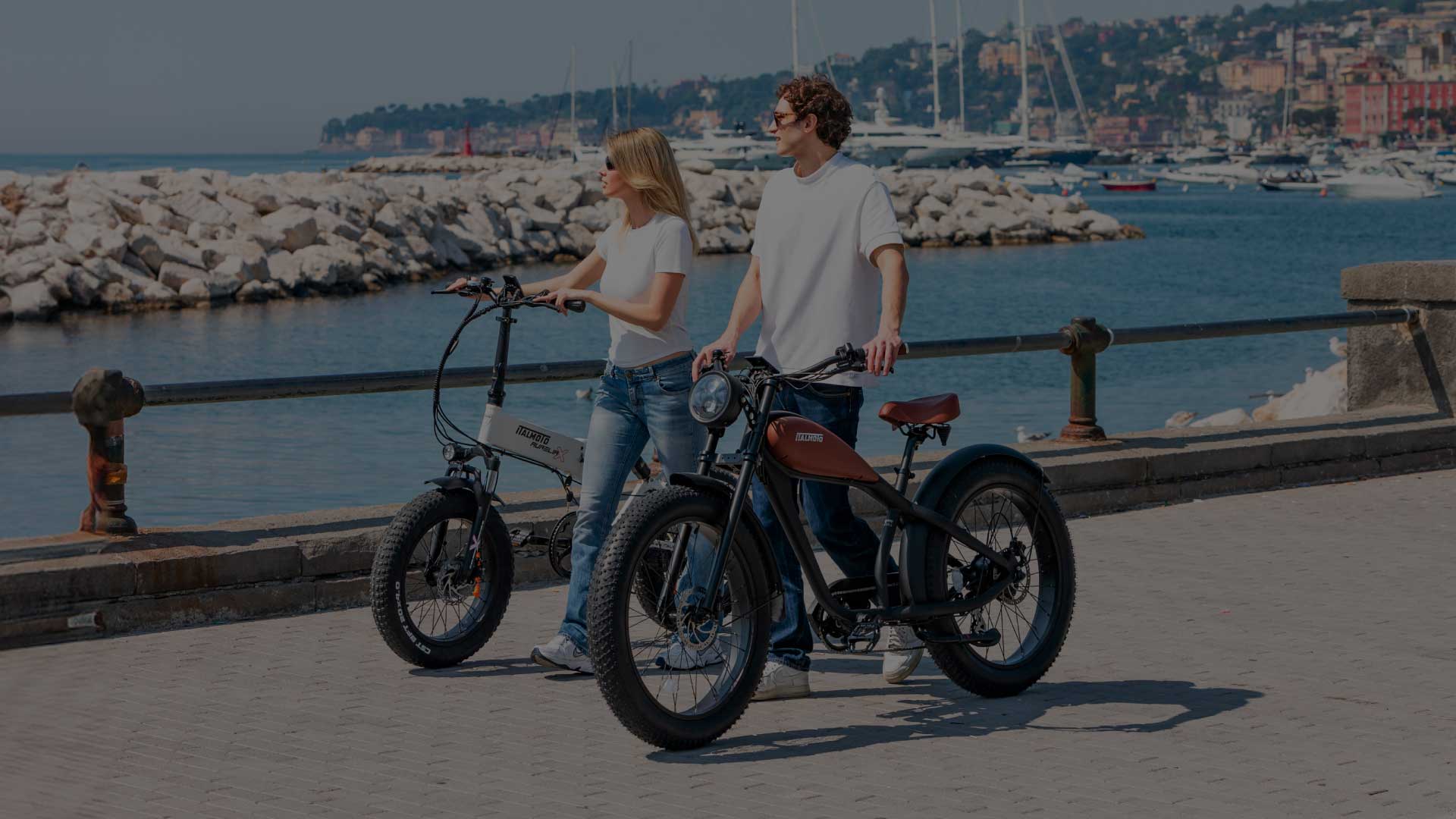 bicicletta elettrica